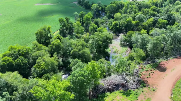 Real drone footage from our DJI Matrice 4T: flying over a wooded creek bend between a crop field and a red dirt farm road