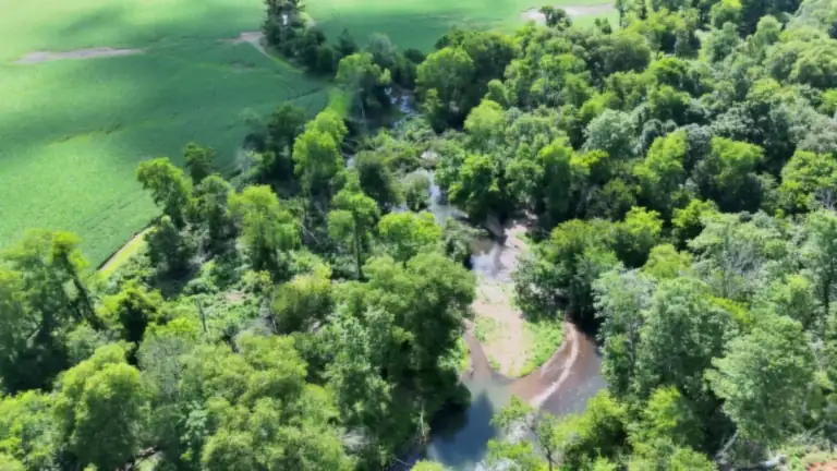 Real drone footage from our DJI Matrice 4T: a creek bend cutting through hardwoods beside a crop field