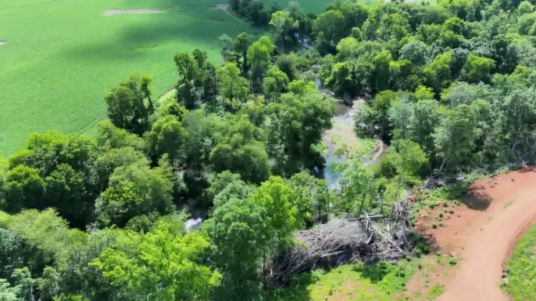 Real drone footage from our DJI Matrice 4T: a red dirt farm road, a cleared brush pile, and creek-side timber